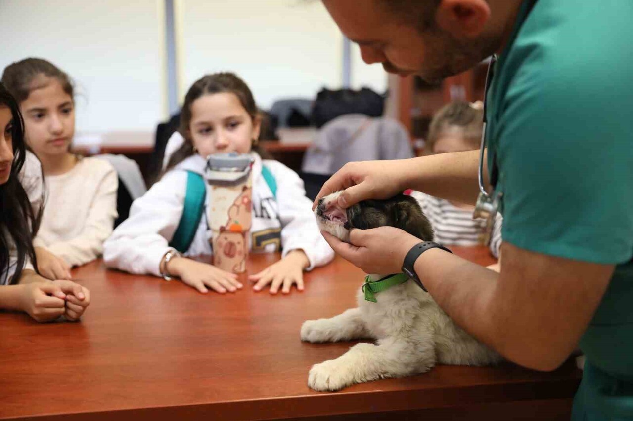 BURSA’DA SOKAK HAYVANLARINA SAHİP ÇIKAN, SAĞLIK HİZMETLERİNDEN YUVALANDIRMAYA KADAR BİRÇOK ALANDA...