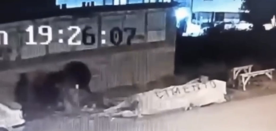 BURSA’NIN OSMANGAZİ İLÇESİNDE BAŞIBOŞ BİR KÖPEĞİN SALDIRISI SONUCU 3 KİŞİ YARALANDI. KÖPEK, YOLDAN...