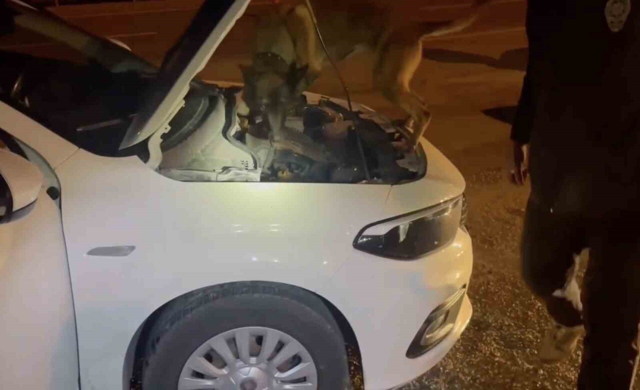 ÇALIŞMALAR KAPSAMINDA DURDURULAN 2 ARAÇTA ARAMA YAPILDI.