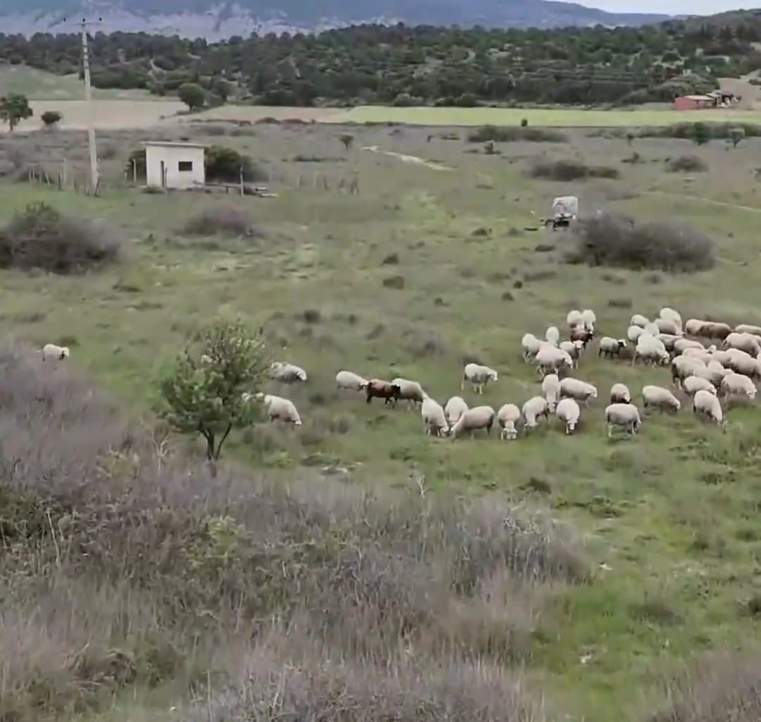 ÇANAKKALE'DE TARIM VE ORMAN BAKANLIĞI TARAFINDAN YÜRÜTÜLEN "MERA ISLAH VE AMENAJMAN PROJELERİ"...