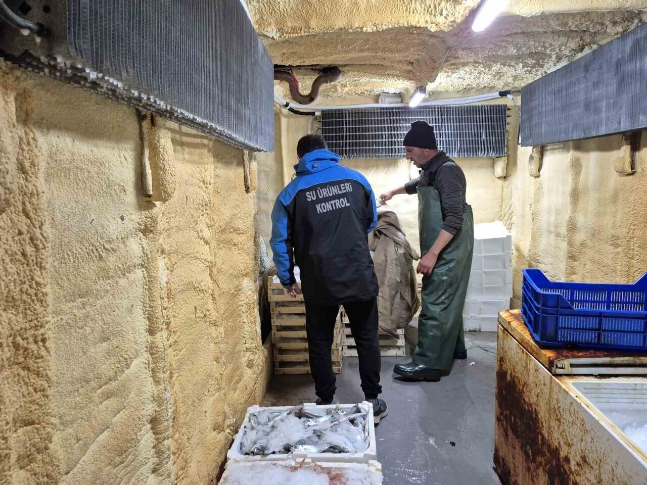 ÇANAKKALE’DE SU ÜRÜNLERİ AVCILIĞI DENETİMLERİNDE 525 KİLOGRAM BALIĞA EL KONULDU.