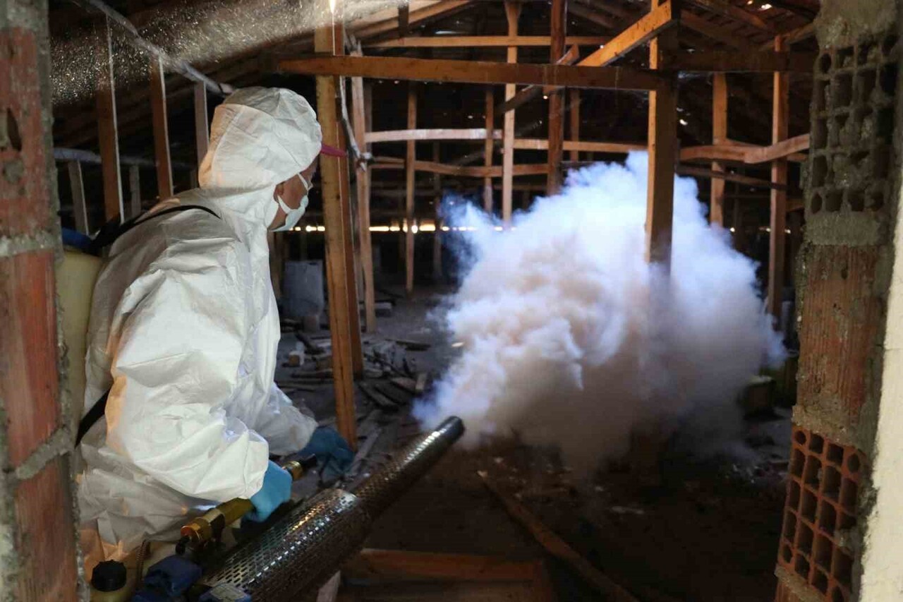 ÇARŞAMBA İLÇESİNDE, TARIMSAL ÜRETİMDE CİDDİ VERİM VE KALİTE KAYIPLARINA YOL AÇAN KAHVERENGİ...