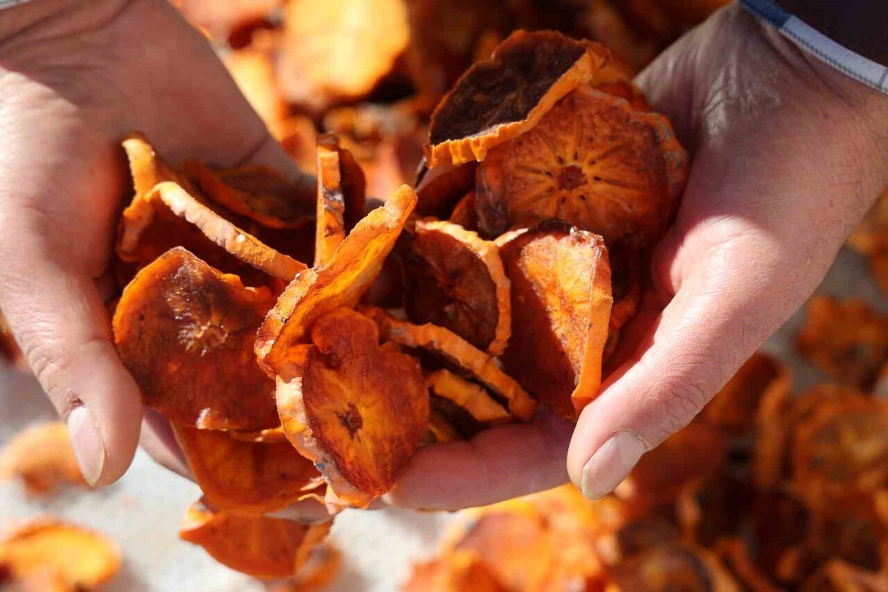 CENNET HURMASININ EN ÇOK ÜRETİMİNİN YAPILDIĞI YERLERİN BAŞINDA GELEN ADANA'NIN KOZAN İLÇESİNDE...