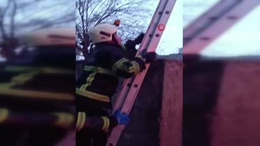 Direkte mahsur kalan kedi itfaiye tarafından indirildi