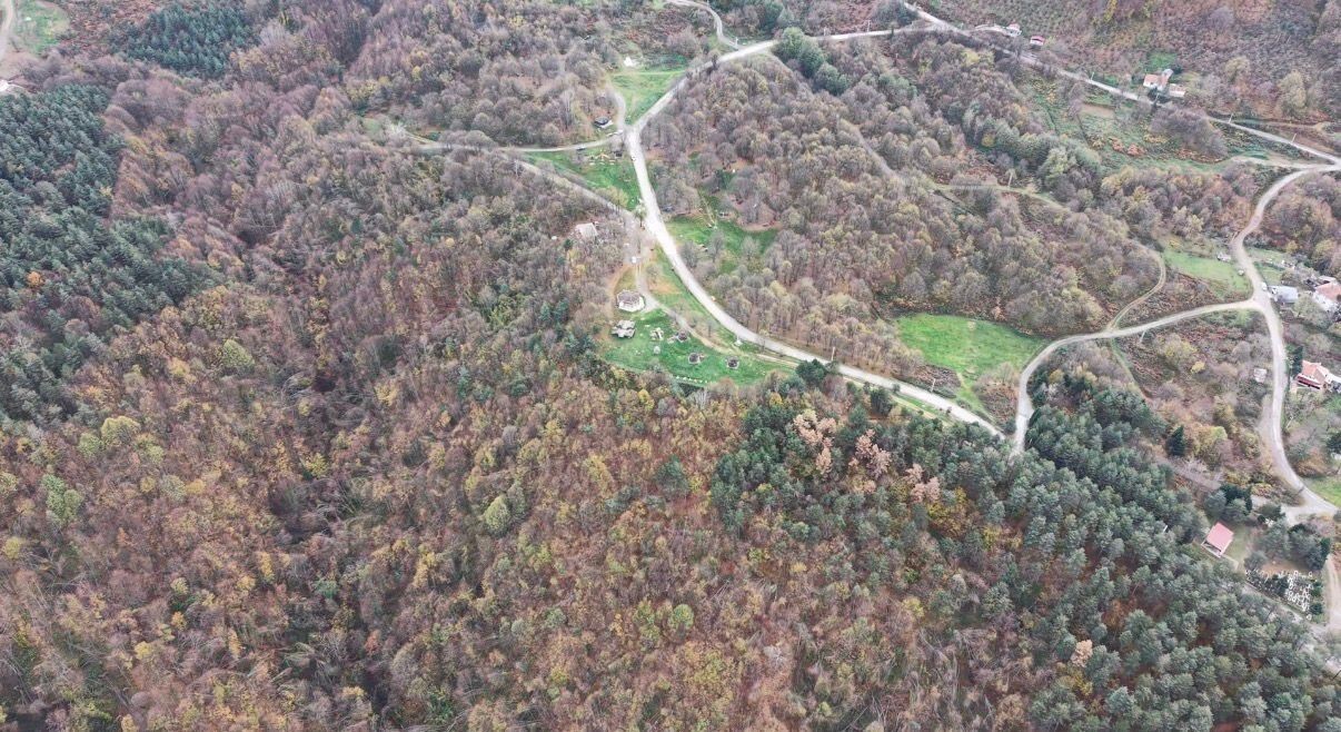 DOĞAL GÜZELLİKLERİ VE ZENGİN BİTKİ ÖRTÜSÜYLE DİKKAT ÇEKEN DÜZCE'DE, SONBAHARIN SON GÜNLERİNDE RENK...
