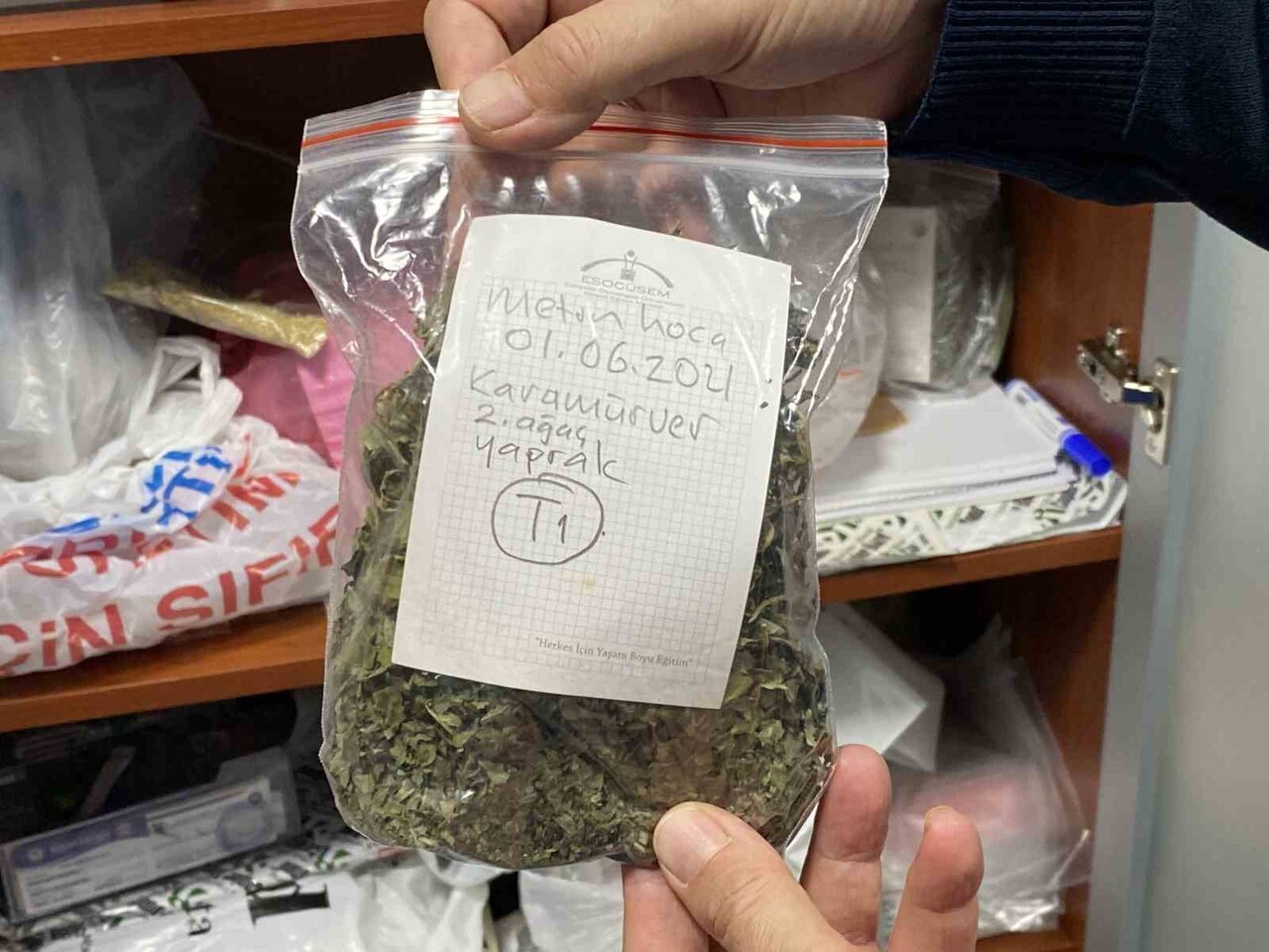 DÜNYANIN FARKLI NOKTALARINDAN 220'NİN ÜZERİNDE TIBBİ AROMATİK BİTKİ ÇEŞİDİNİN BİR ARAYA...