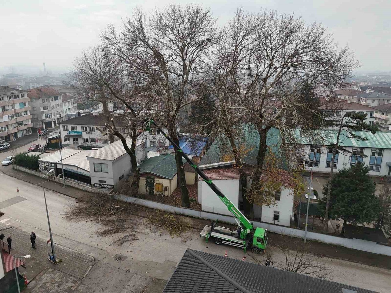 DÜZCE BELEDİYESİ, KIŞ BAKIMLARI KAPSAMINDA AĞAÇLARI BUDAMA ÇALIŞMALARINA DEVAM EDİYOR. PARK VE...