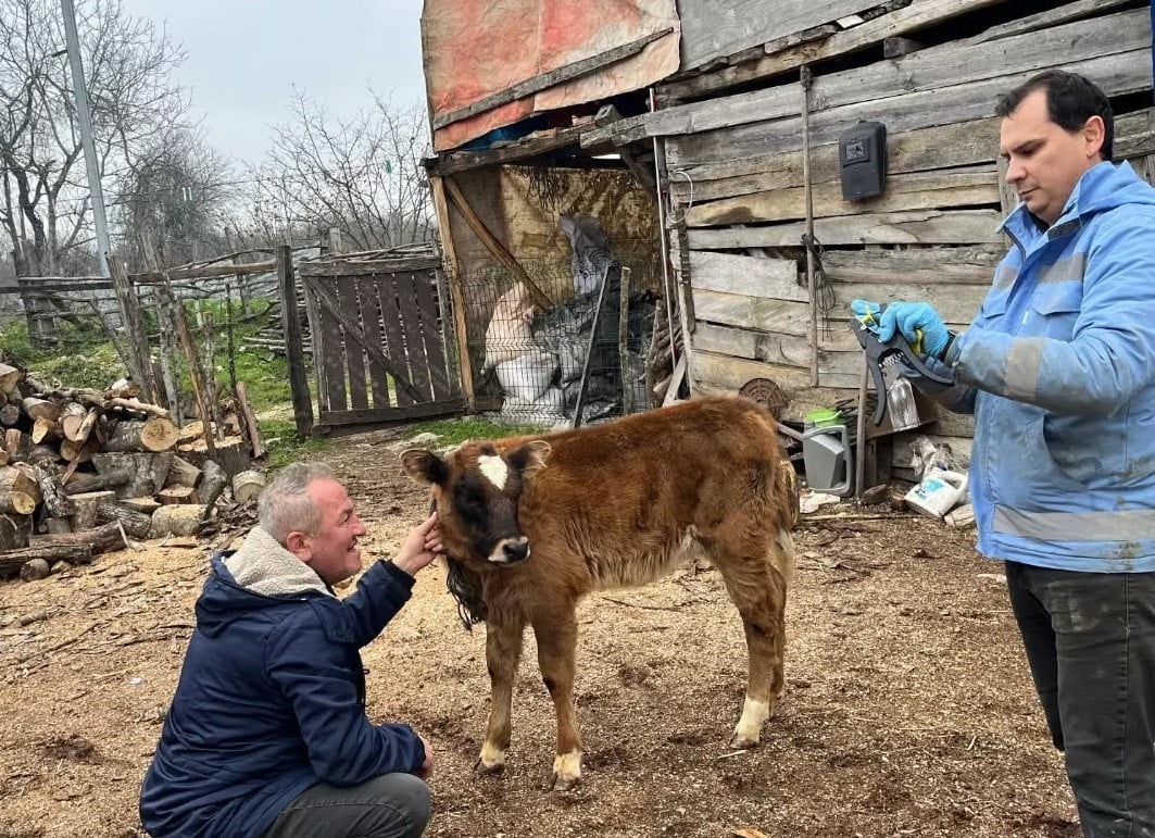 DÜZCE’NİN YIĞILCA İLÇESİNE BAĞLI GERİŞ VE GELENÖZ KÖYLERİNDE, YIĞILCA İLÇE TARIM VE ORMAN...