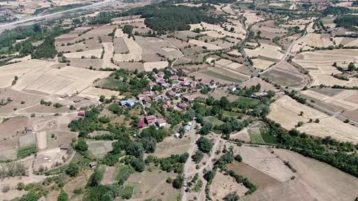 Emekli polis, ahşap hat sanatıyla evini adeta müzeye çevirdi