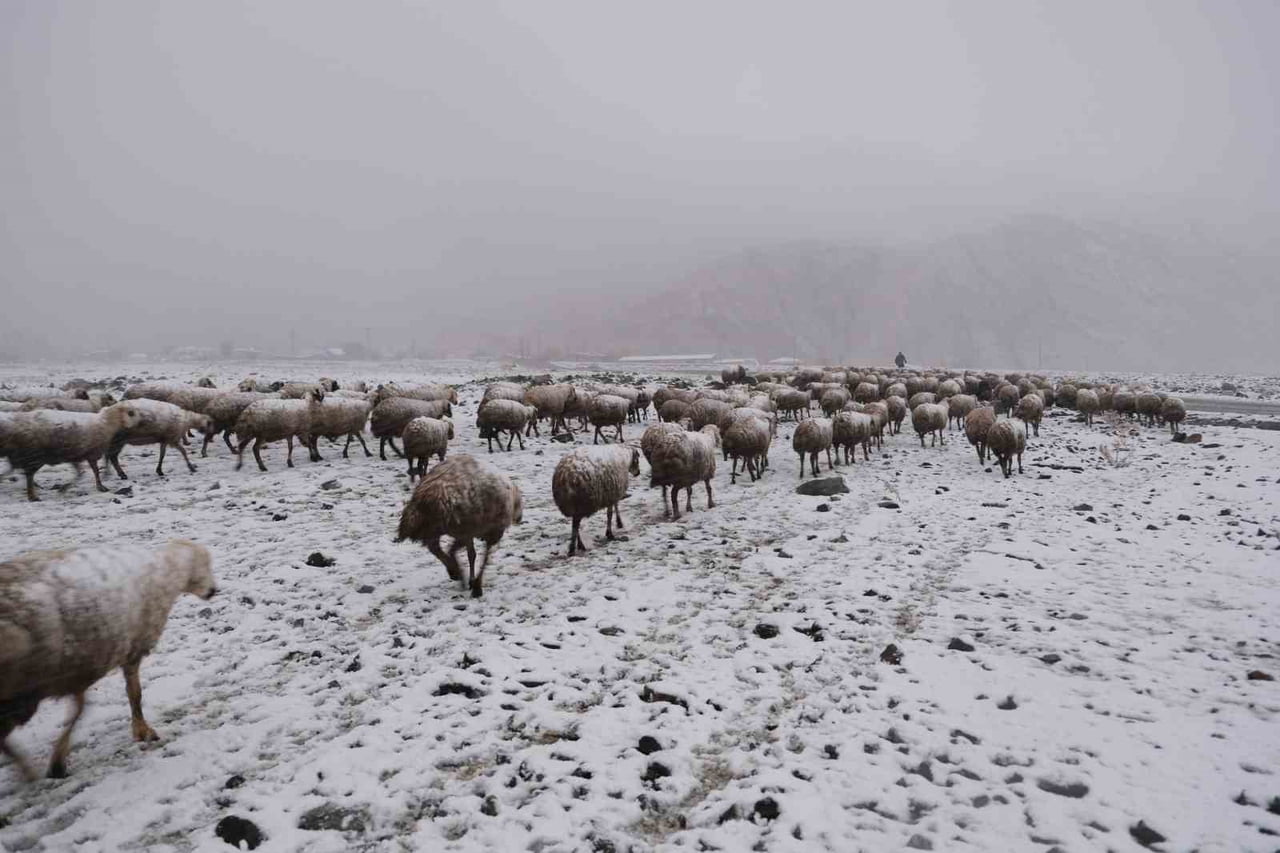 ERZİNCAN YAYLALARINDAN KÖYLERE UZANAN ZORLU KIŞ MESAİSİ