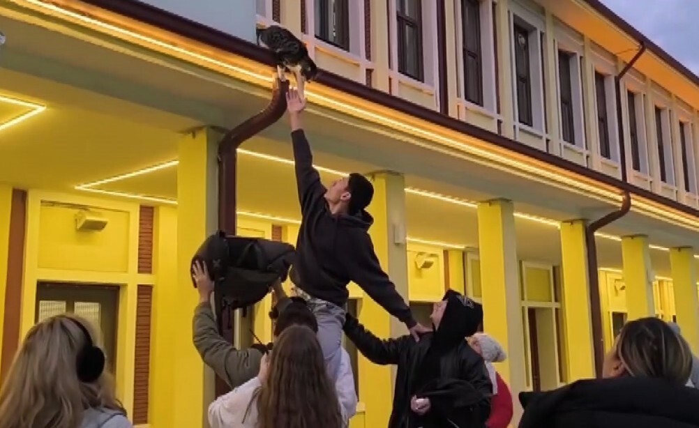 ESKİŞEHİR'DE ÇATIDA BAĞIRAN KEDİYİ KURTARMAK İÇİN GENÇLER SEFERBER OLDU. SEVİMLİ HAYVANIN...