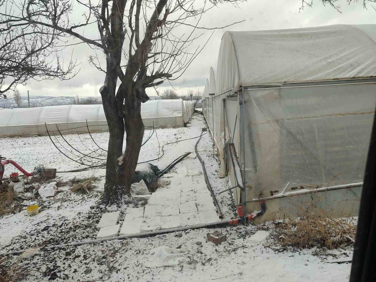 ESKİŞEHİR'DE SERALAR, DONDURUCU SOĞUKLARIN ETKİSİYLE TAMAMEN BUZ TUTARKEN, BU DURUM ÇİFTÇİLERİ ZOR...