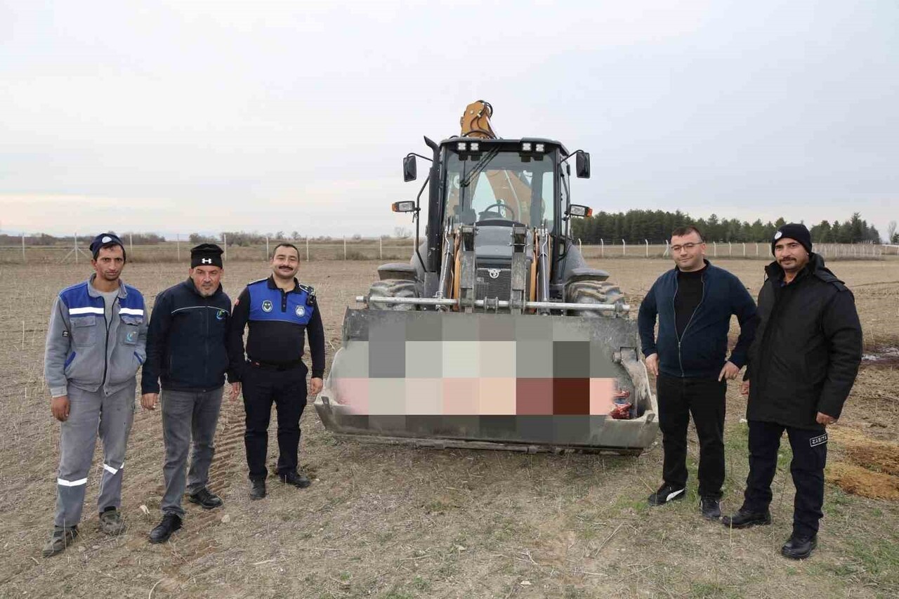 ESKİŞEHİR'İN ÇİFTELER İLÇESİ'NDE 215 KİLOGRAM KAÇAK AT ETİNİN ELE GEÇİRİLDİĞİ İŞLETME...