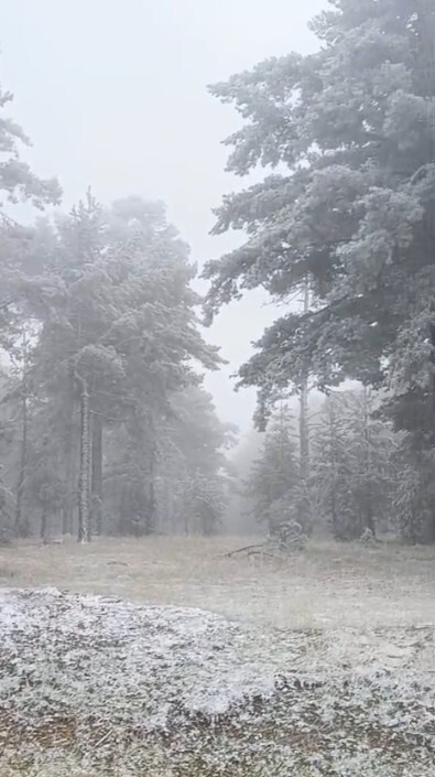 ESKİŞEHİR'İN MİHALIÇÇIK İLÇESİ'NDE ETKİLİ OLAN KAR YAĞIŞI SONUCUNDA ÇEVRE BEYAZA...
