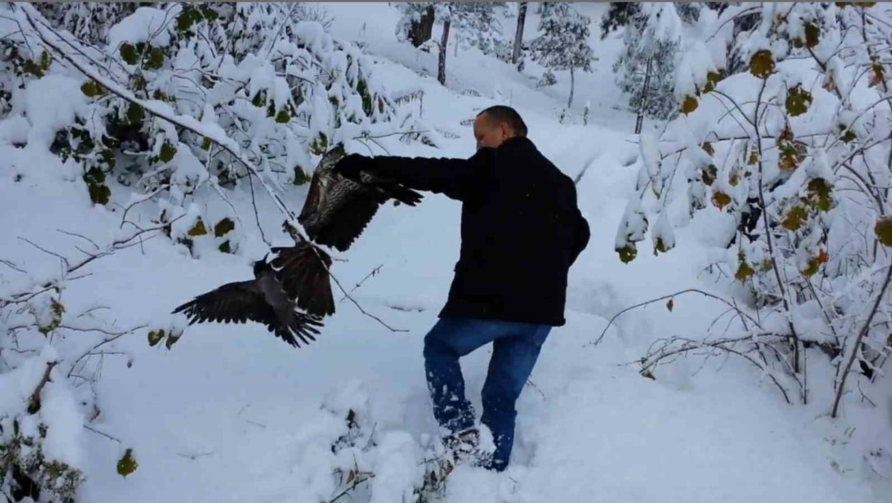 GİRESUN’DA BİR ATMACANIN AVLANMAK ÜZERE YAKALADIĞI KARGAYI, ÇEVREDE BULUNAN VATANDAŞLARIN...