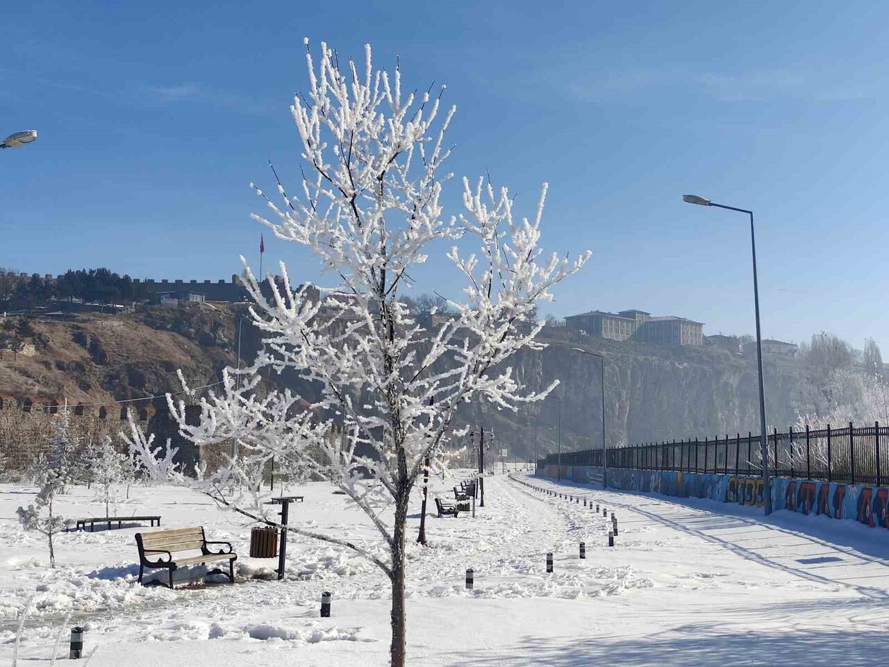 GÖLE İLÇESİNDE HAVA SICAKLIĞININ EKSİ 16 DERECEYE KADAR DÜŞMESİYLE BİRLİKTE KENT GENELİNDE AĞAÇLAR...