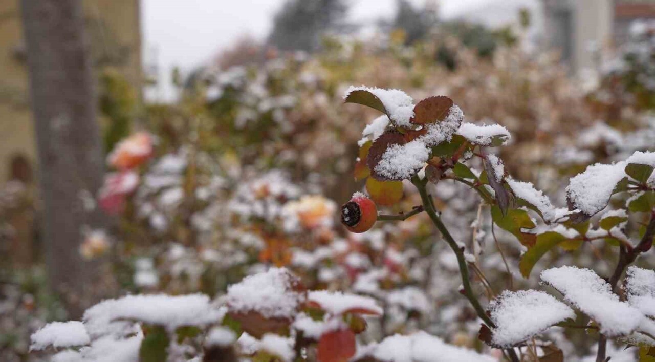 GÜMÜŞHANE KENT MERKEZİNE YILIN İLK KARI SABAH SAATLERİNDE DÜŞTÜ.