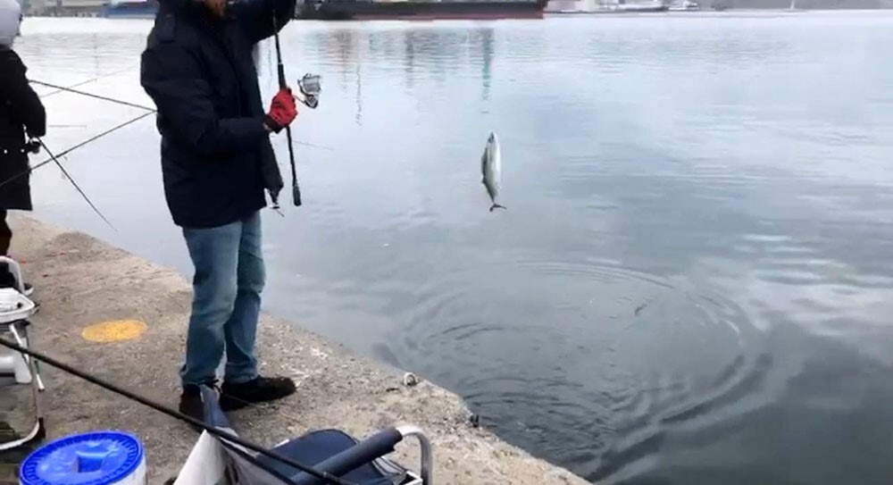 GÜNÜN İLK IŞIKLARIYLA BİRLİKTE OLTALARINI DENİZE ATAN BALIKÇILAR, KISA SÜREDE KOVALARINI...