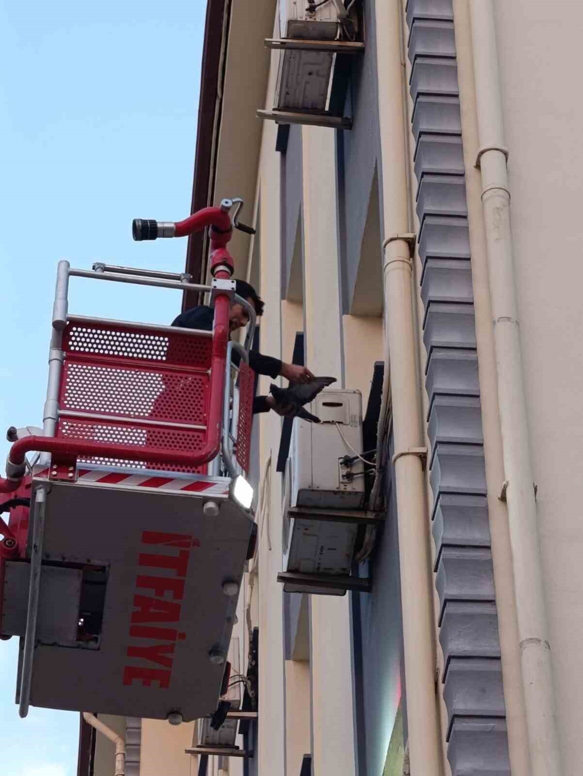 HATAY’DA KLİMA MOTORUNUN KABLOSUNA DOLAŞARAK MAHSUR KALAN KEDİYİ İTFAİYE KURTARDI.