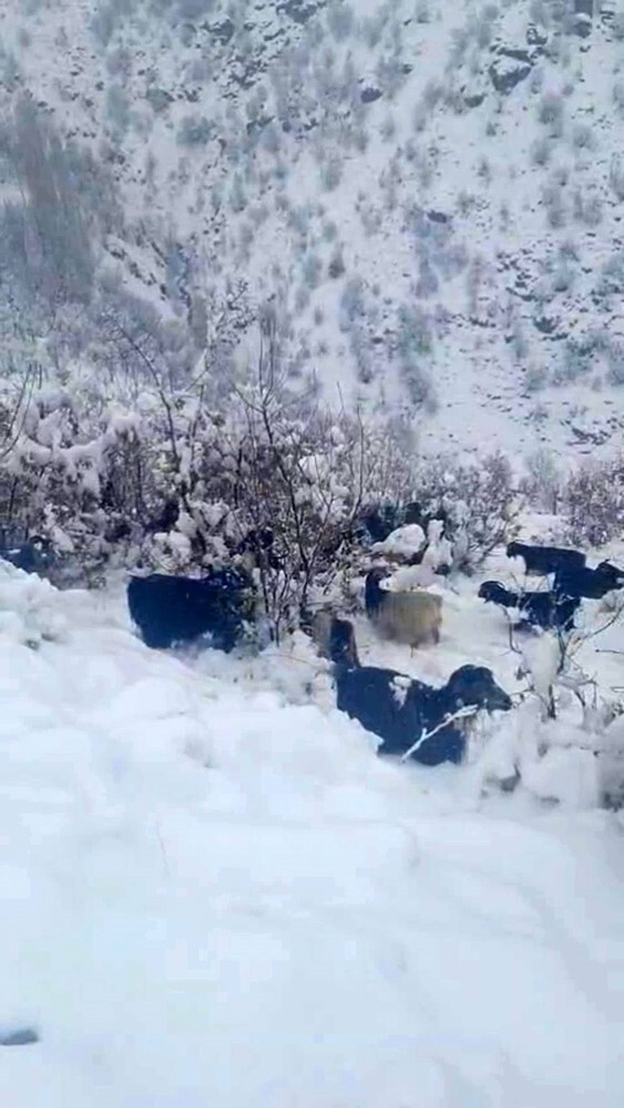 HİZAN İLÇESİNDE ETKİLİ OLAN KAR YAĞIŞI, YÜKSEK RAKIMLI KÖYLERDE HAYVANCILIKLA UĞRAŞAN VATANDAŞLARI...