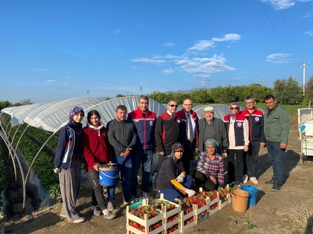 HOŞ KOKUSU, YOĞUN AROMASI VE PARLAK KIRMIZI RENGİYLE ÖNE ÇIKAN COĞRAFİ İŞARETLİ SULTANHİSAR...