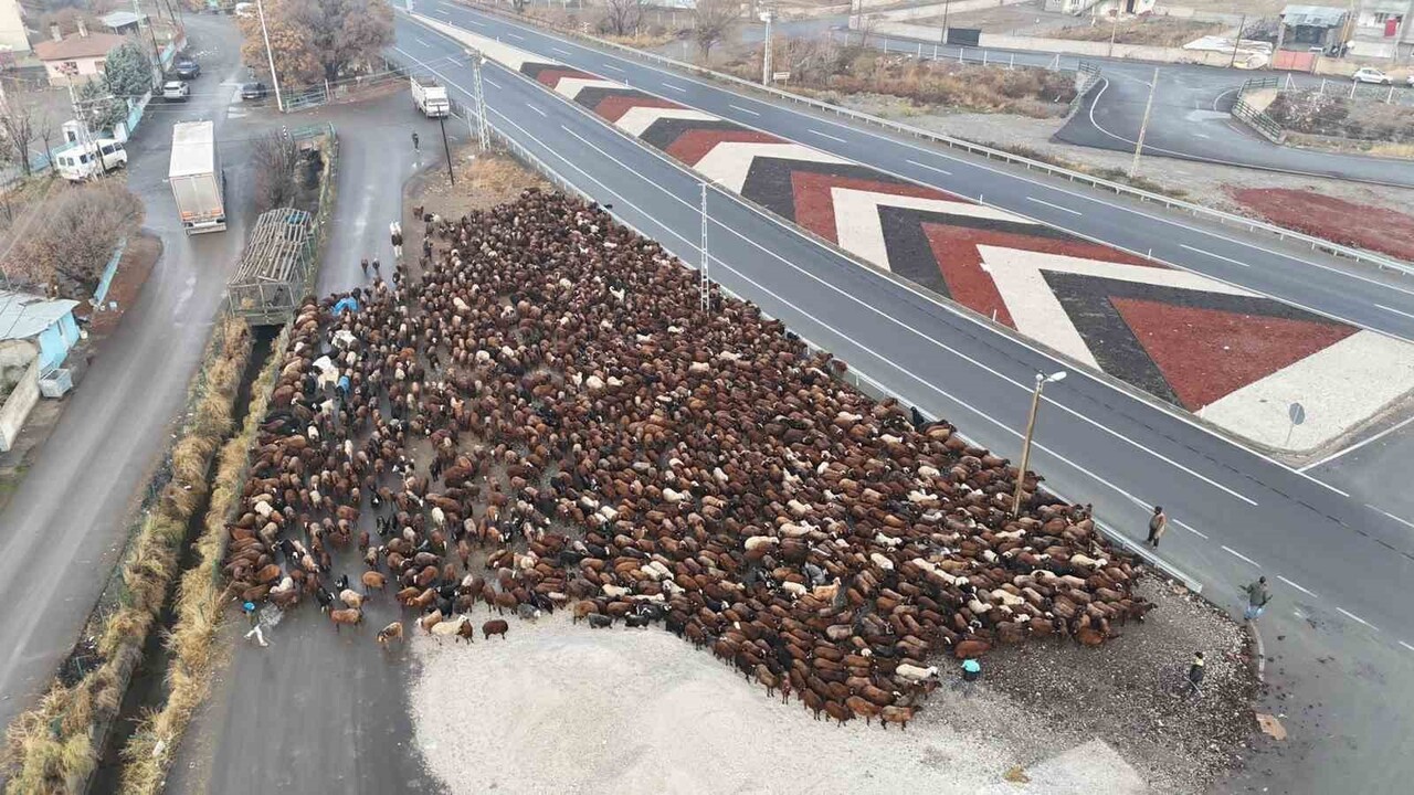 IĞDIRLI GÖÇERLER, ZORLU YOLCULUĞUN ARDINDAN IĞDIR’A ULAŞTI