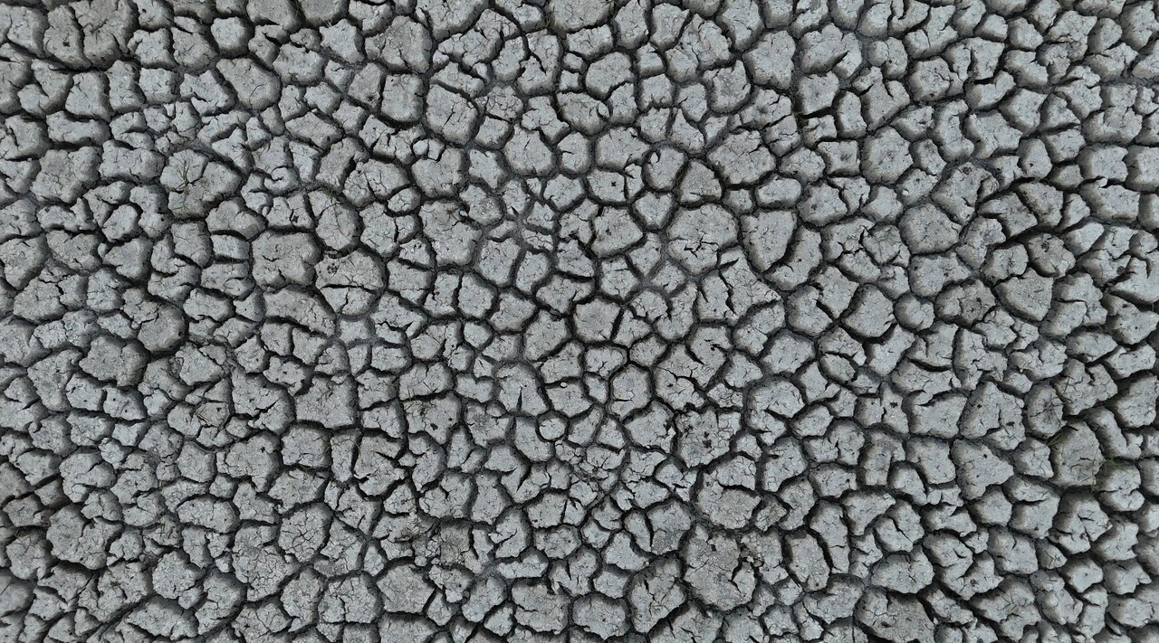 ISPARTA’NIN EĞİRDİR İLÇESİNDE SON YILLARDA ARTAN KURAKLIK, ÇİFTÇİLERİ ALTERNATİF ÜRETİM...