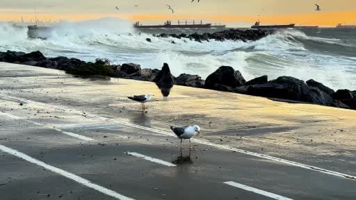 İstanbul'da vapur seferlerine fırtına engeli