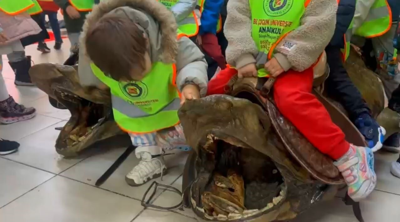 İSTANBUL BEYLİKDÜZÜ'NDE YER ALAN TÜRKİYE DENİZ CANLILARI MÜZESİ'Nİ ZİYARET EDEN MİNİKLER, DEV...