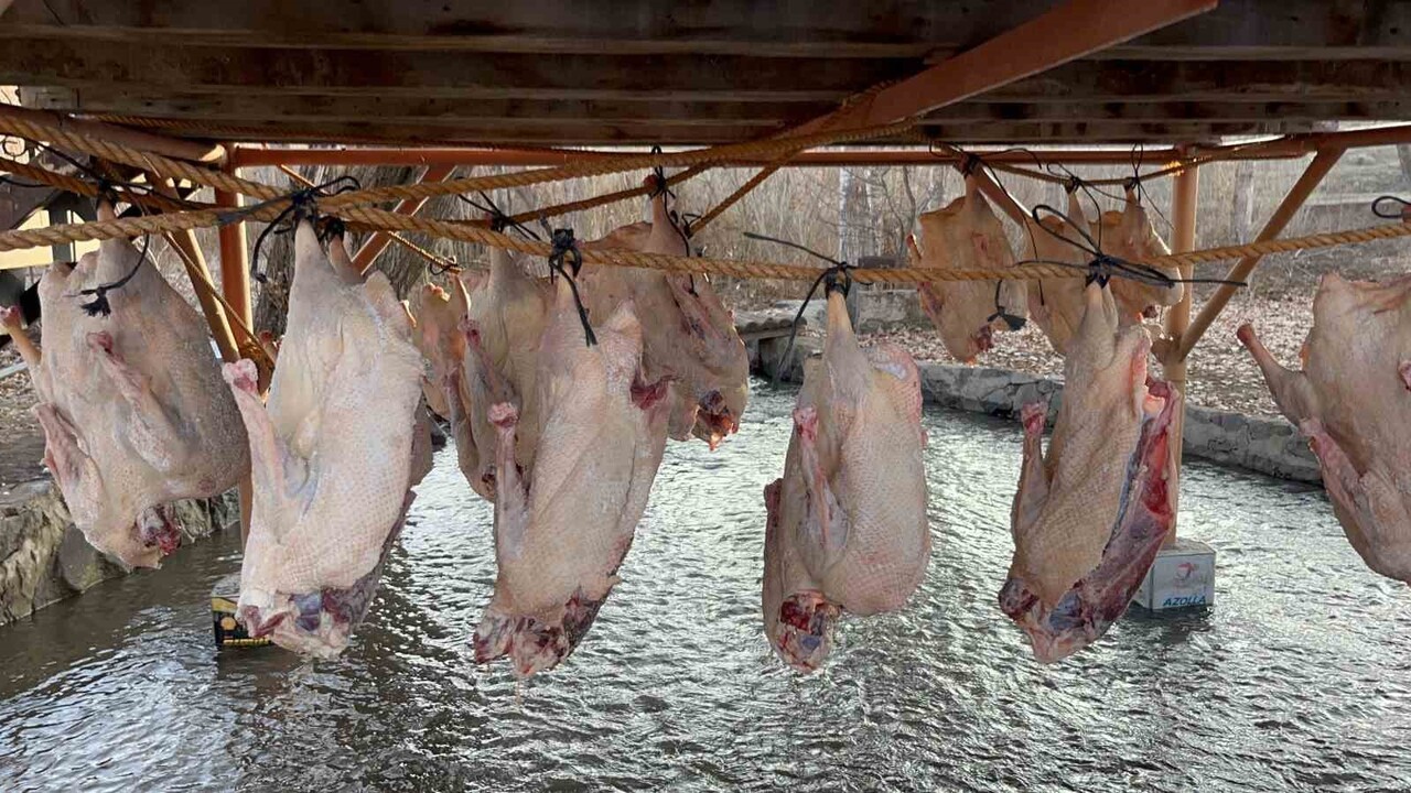 KARS KAZI GELENEKSEL YÖNTEMLERLE KURUTULUYOR: KIŞ SOFRALARININ VAZGEÇİLMEZİ...