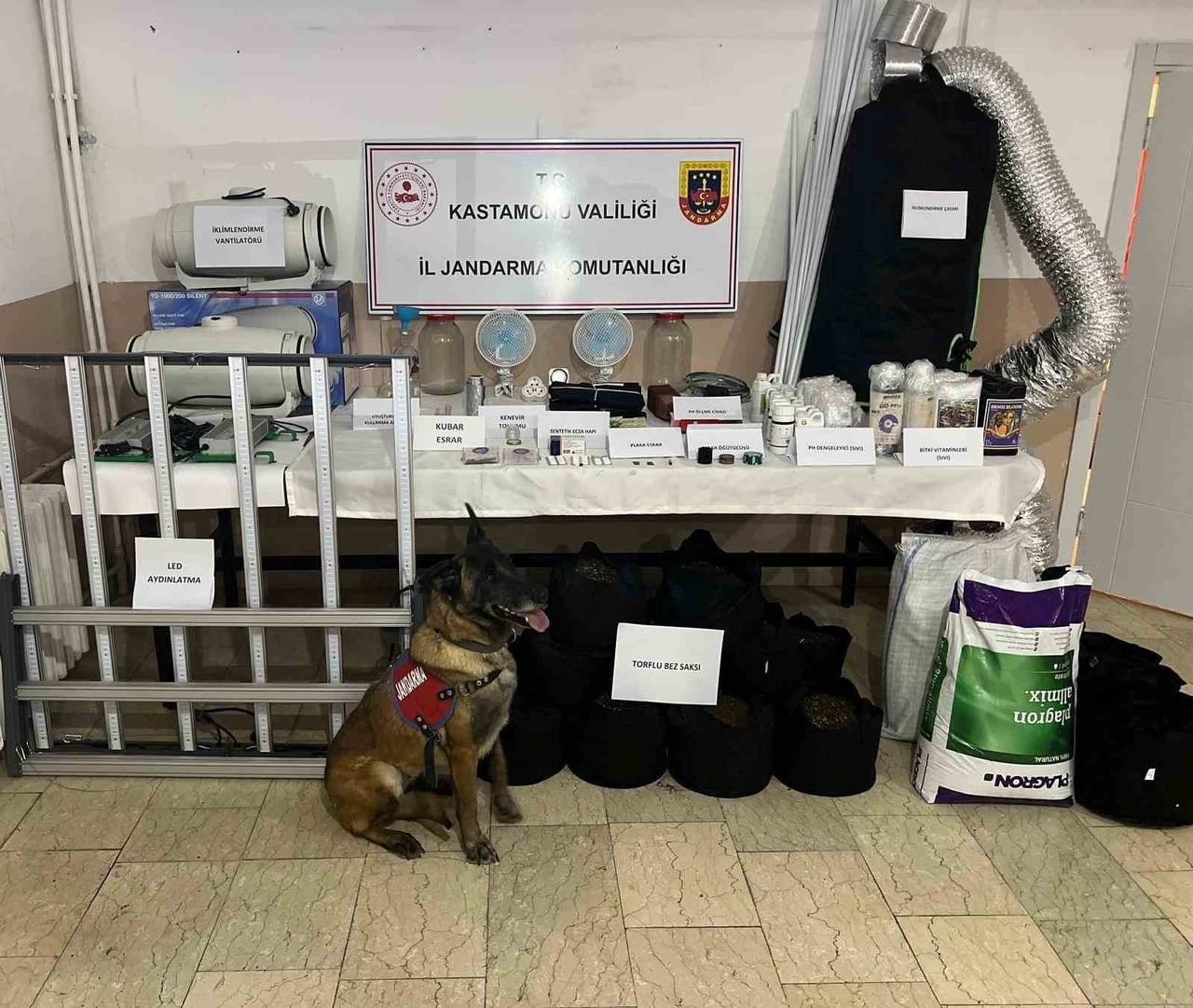 KASTAMONU'DA JANDARMA EKİPLERİ TARAFINDAN GERÇEKLEŞTİRİLEN UYUŞTURUCU OPERASYONLARINDA 6 ŞÜPHELİ...