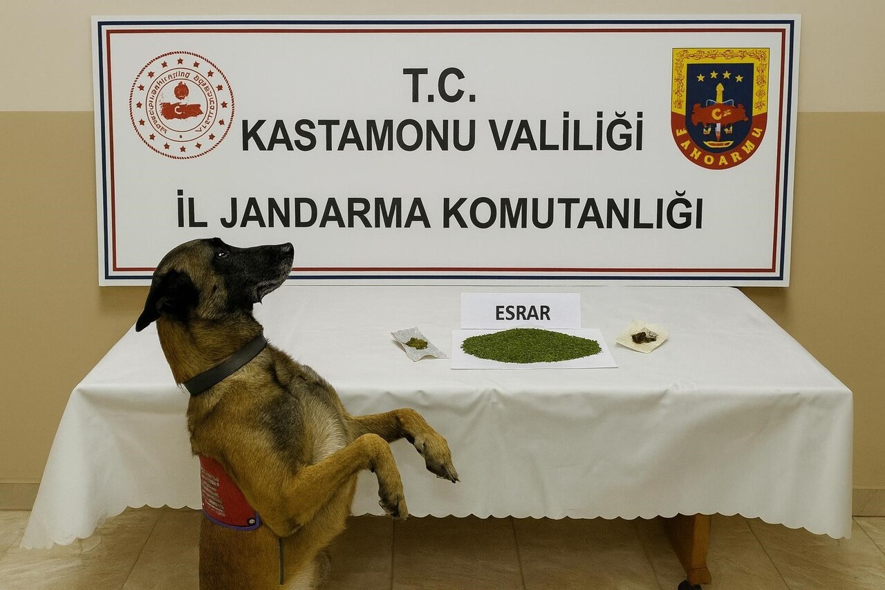 KASTAMONU'DA JANDARMA EKİPLERİ TARAFINDAN UYUŞTURUCU MADDEYLE YAKALANAN 1 ŞÜPHELİ TUTUKLANDI.