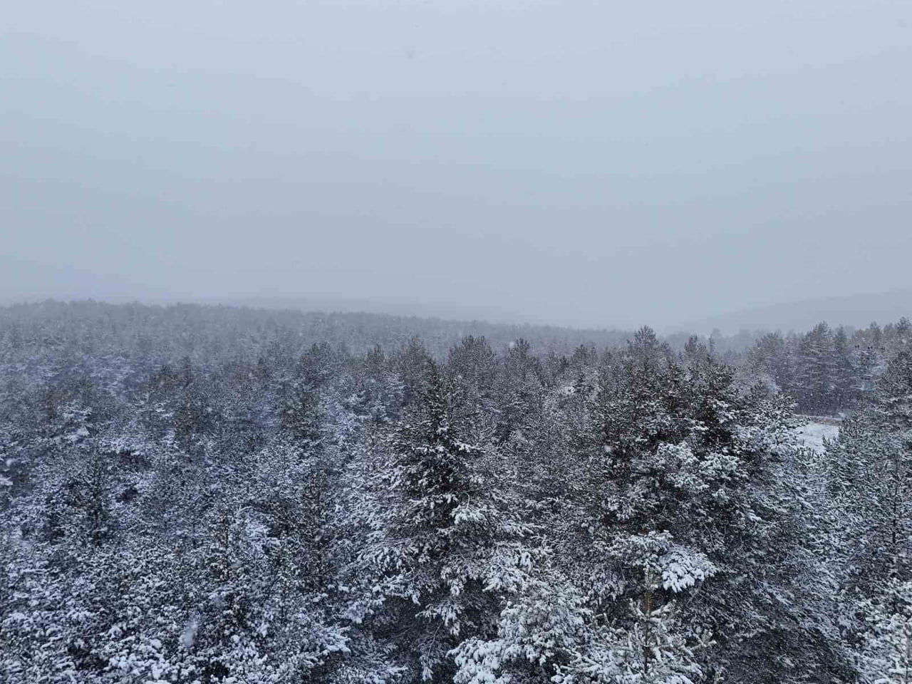 KASTAMONU'DA YÜKSEK KESİMLERDE YOĞUN KAR YAĞIŞI ETKİLİ OLUYOR.