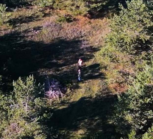 KASTAMONU DOĞA KORUMA VE MİLLİ PARKLAR MÜDÜRLÜĞÜ EKİPLERİ TARAFINDAN YÜRÜTÜLEN KORUMA VE KONTROL...