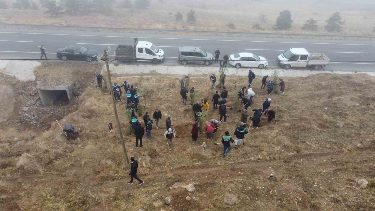 KAYSERİ BÜYÜKŞEHİR BELEDİYESİ ŞEHİRDE YEŞİLLENDİRME VE AĞAÇLANDIRMA ÇALIŞMALARINI...