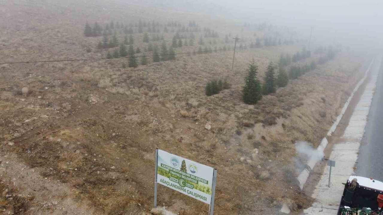 KAYSERİ BÜYÜKŞEHİR BELEDİYESİ ŞEHİRDE YEŞİLLENDİRME VE AĞAÇLANDIRMA ÇALIŞMALARINI...