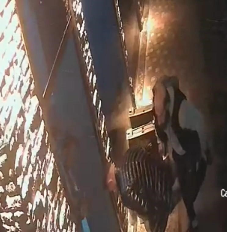 KAYSERİ’DE BOĞAZINA ŞEKER KAÇAN KIZ ÇOCUĞUNU NAKLİYECİLİK YAPAN BİR ESNAF HEİMLİCH MANEVRASIYLA...