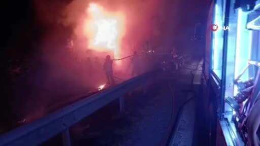 Kaza yaptıktan sonra alevlere teslim olan tırdaki 2 kişi öldü, taşınan anguslar otobana...