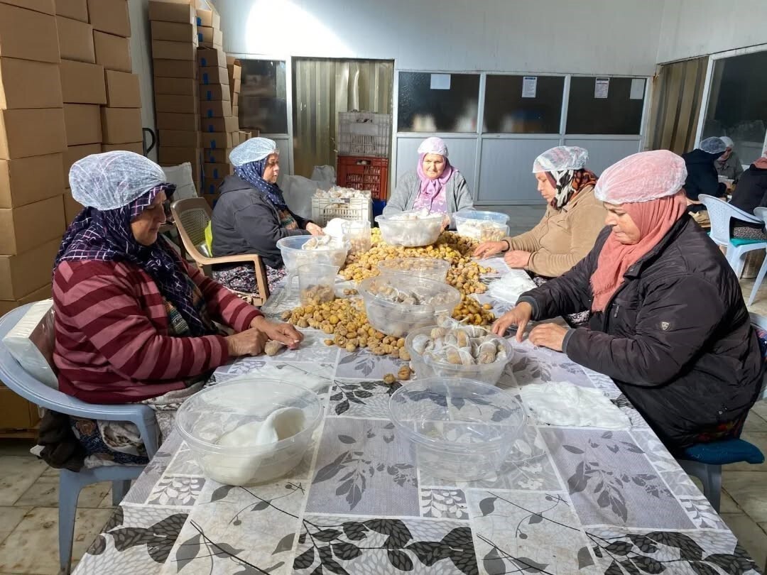 KESTANE HASADININ TAMAMLANMASININ ARDINDAN AYDIN’DA TOPLANAN ÜRÜNLER İŞLENEREK İHRACATA...