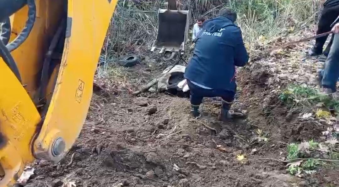 KIRIKHAN İLÇESİNDE DEREYE DÜŞEN İNEK, İTFAİYE EKİPLERİ KURTARARAK SAHİBİNE TESLİM...