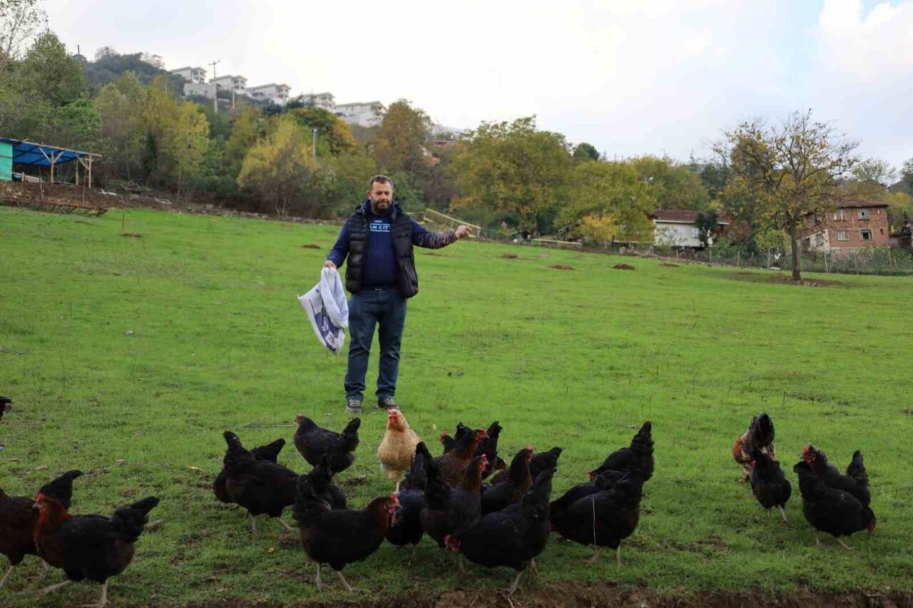 KOCAELİ'DE YÜRÜTÜLEN YÜZDE 50 HİBELİ "DOĞAL SALMA YUMURTA TAVUKÇULUĞU PROJESİ" KAPSAMINDA...