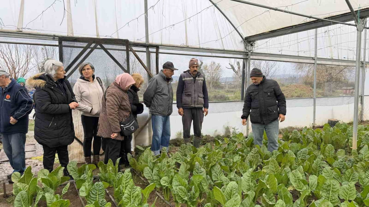 KOCAELİ BÜYÜKŞEHİR BELEDİYESİ BÜNYESİNDEKİ "SAYGINLAR KULÜBÜ" ÜYESİ 65 YAŞ ÜSTÜ VATANDAŞLAR, İZMİT...