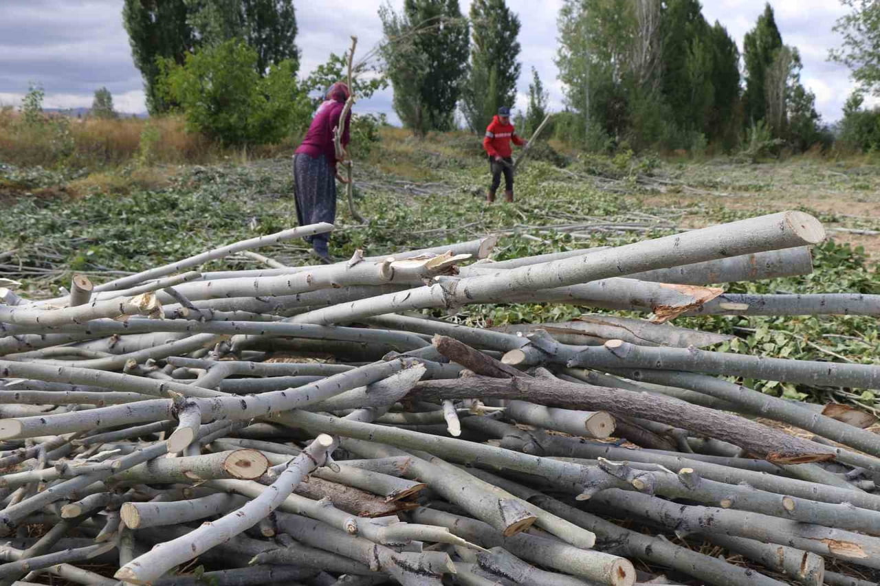 KÖMÜR PAHALI, ODUN UMUT: ERZİNCAN KIRSALINDA KIŞ MESAİSİ