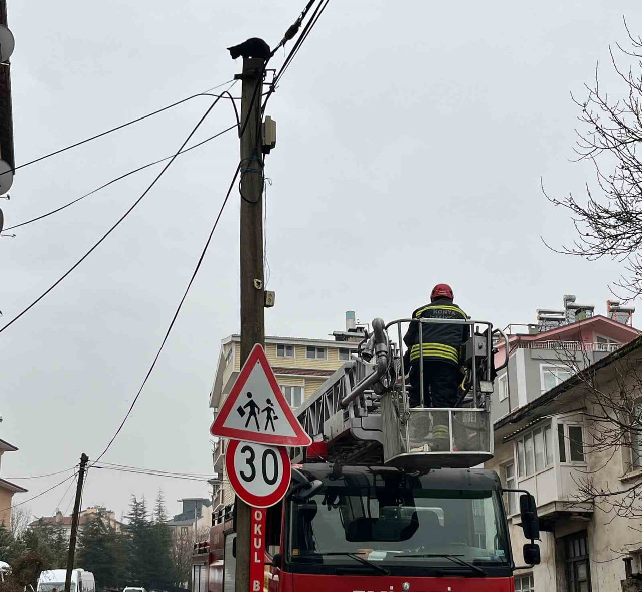 KONYA’NIN BEYŞEHİR İLÇESİNDE TELEFON DİREĞİNİN TEPESİNDE MAHSUR KALAN BİR KEDİ, İTFAİYE...