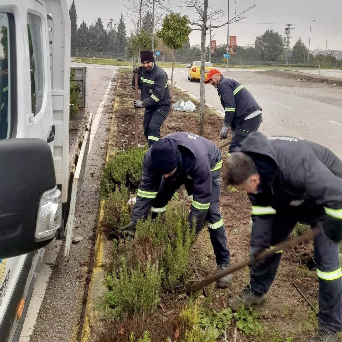 KÖRFEZ'DE KENTİN ESTETİK GÖRÜNÜMÜNÜ KORUMAK VE YEŞİL ALANLARI DAHA CANLI HALE GETİRMEK AMACIYLA...