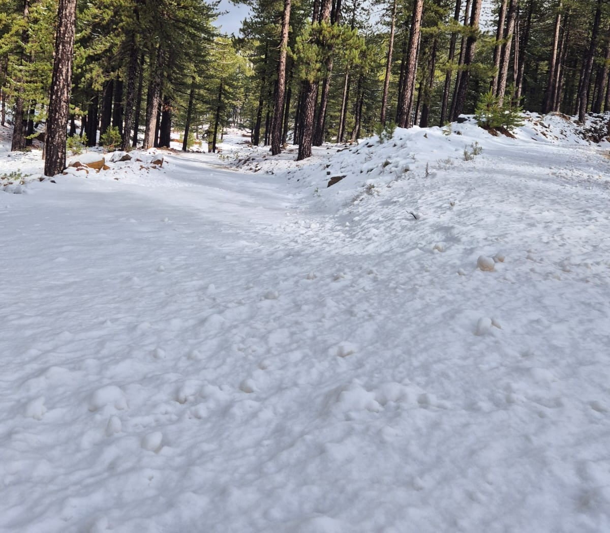 KÖYCEĞİZ SANDRAS DAĞI KARLA KAPLANDI