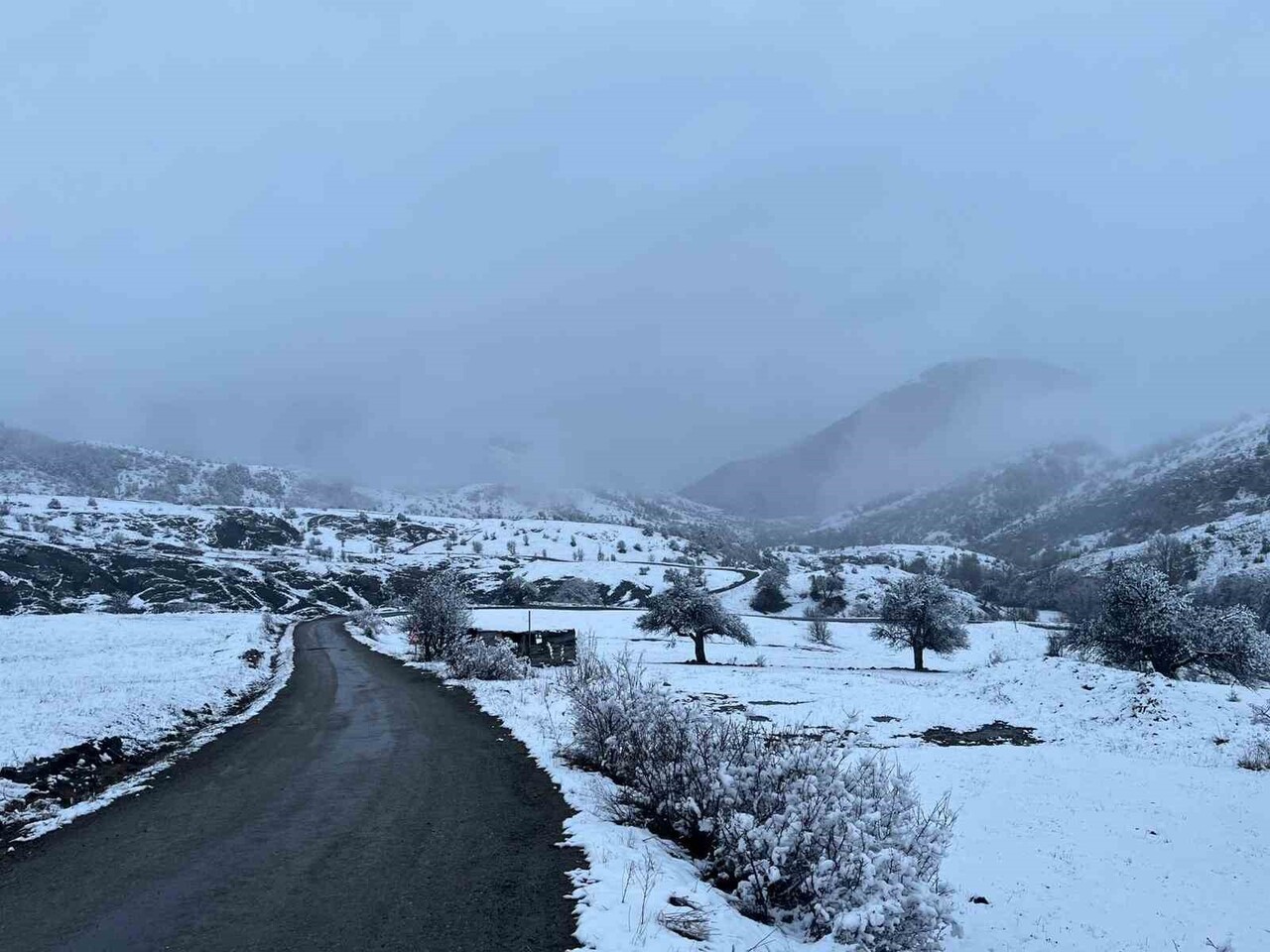 KOYULHİSAR’DA ETKİLİ OLAN SOĞUK HAVA SONRASI YÜKSEK RAKIMLI BÖLGELER BEYAZA BÜRÜNDÜ.
