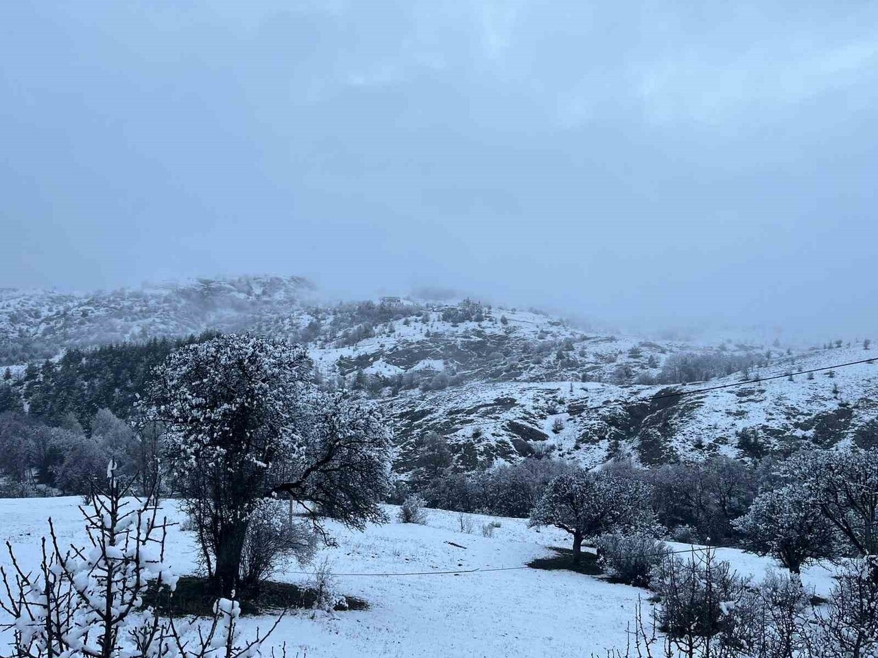 KOYULHİSAR’DA ETKİLİ OLAN SOĞUK HAVA SONRASI YÜKSEK RAKIMLI BÖLGELER BEYAZA BÜRÜNDÜ.
