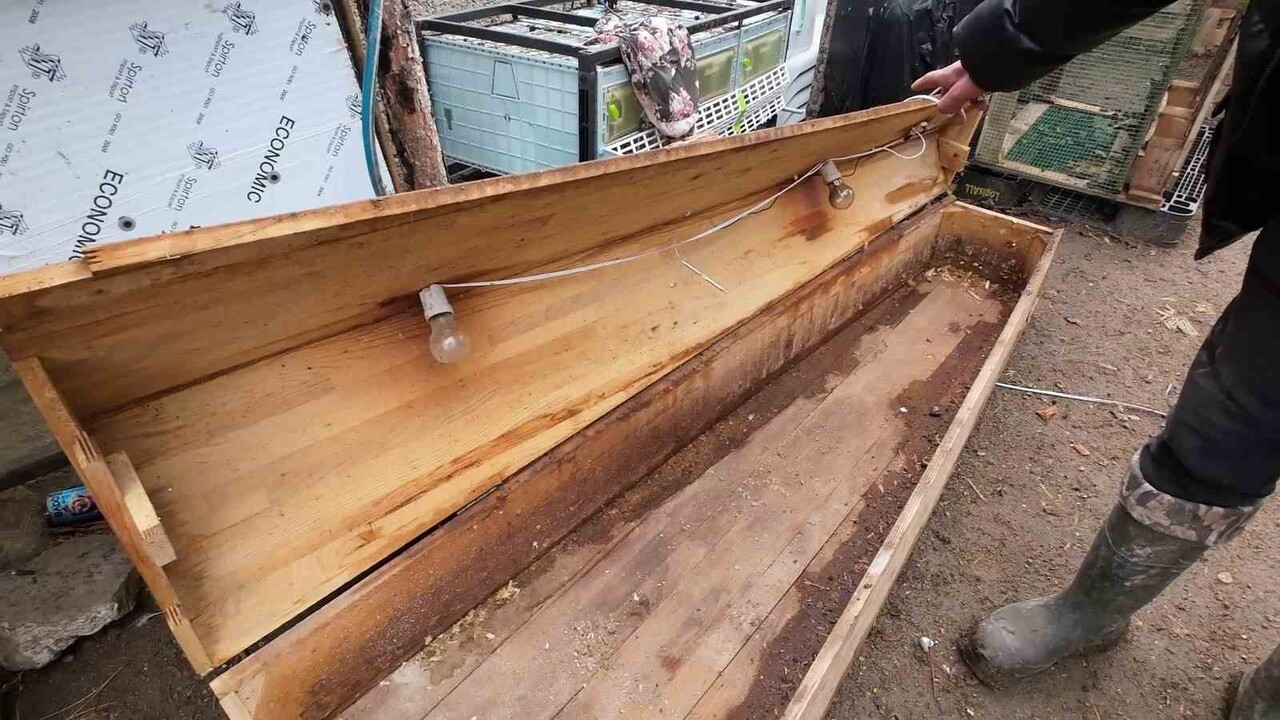 KULLANILMIŞ TABUTLARDAN KANATLI HAYVANLAR İÇİN ANA KUCAĞI YAPTI.