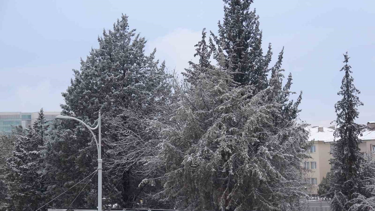 MALATYA'DA KAR YAĞIŞI GÜNLÜK YAŞAMI VE ULAŞIMI HAYATI OLUMSUZ ETKİLEDİ.